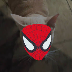 Meet your Posher, Mayson